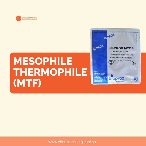 Mesophile Thermophile (MTF)