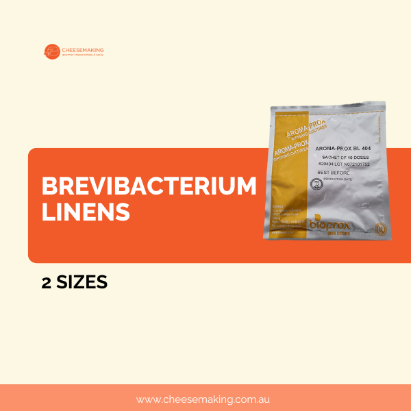 Brevibacterium Linens