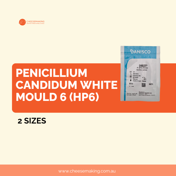 Penicillium Candidum White Mould 6 (HP6)