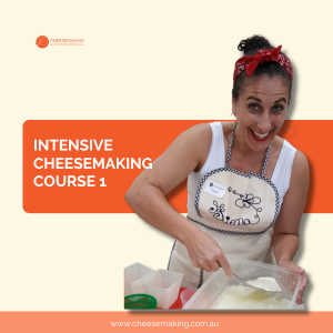 CHEESEMAKING COURSE