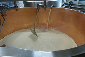 cheesemaking-heat-treatment-of-milk