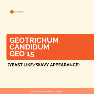Geotrichum Candidum Geo 15 (yeast like wavy appearance)