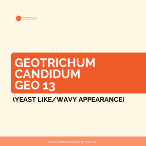 Geotrichum Candidum Geo 13 (yeast like appearance/wavy appearance)